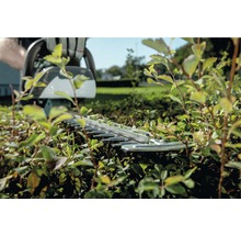 Eine Heckenschere schneidet eine Hecke