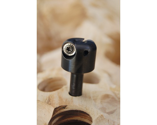 Holzbearbeitungswerkzeug für Bohrarbeiten