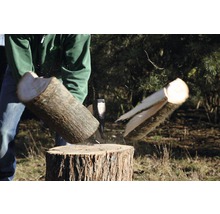 Holzspalter in Aktion: Ein Holzscheit wird mit einer Axt auf einem Hackklotz gespalten.