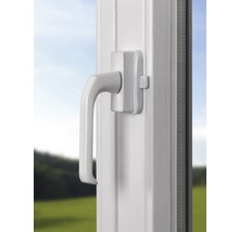 Fenster mit Fenstergriff