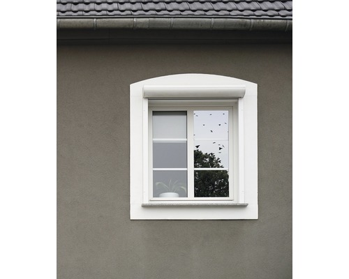 d-c-fix® Spiegel-Sichtschutzfolie Spionagefolie selbstklebend 67,5x150 cm -  HORNBACH