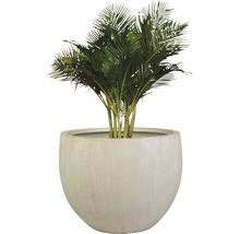 Künstliche Areca-Palme in rundem Pflanzgefäß