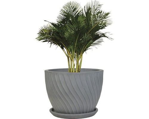 Areca Palme in grauem Pflanztopf auf Untersetzer