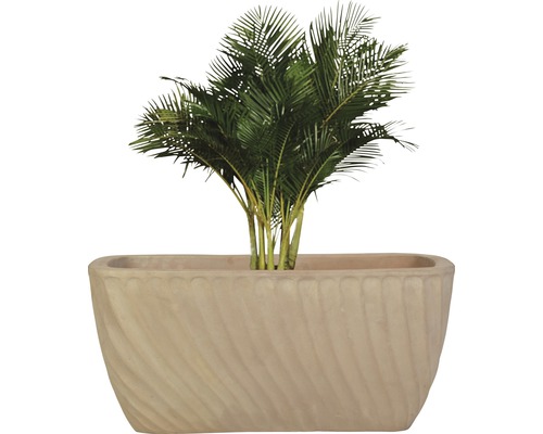Areca Palme in dekorativem Pflanzgefäß