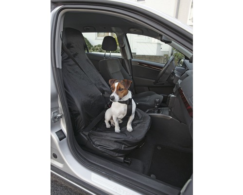 Hund sitzt auf einem Autositzbezug im Fahrzeuginnenraum