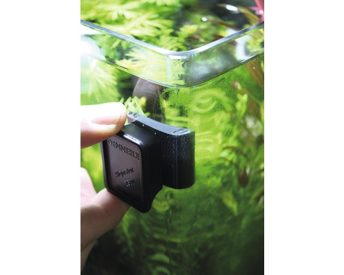 Dennerle Alginator 2500 Algenmagnet an einem Aquarium befestigt