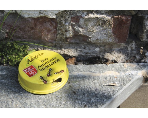 Bio Ameisenköderdose von Natria gegen Ameisen