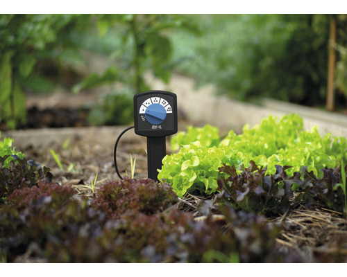 Bewässerungscomputer im Gartenbeet zur Steuerung der Bewässerung.