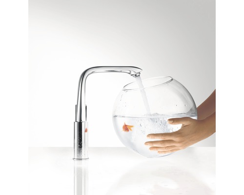 Eine Armatur füllt eine Glasschale mit Wasser, in der sich ein Goldfisch befindet.