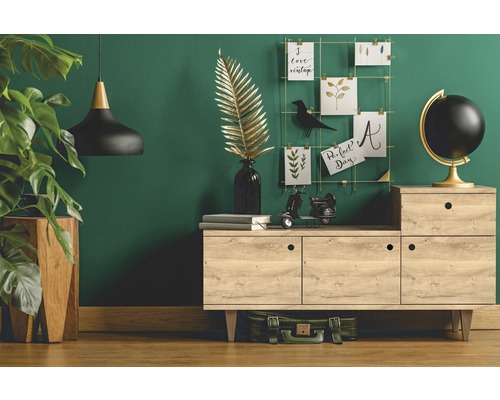 Dekoratives Wohnzimmer mit Kommode, Pflanze und Hängelampe