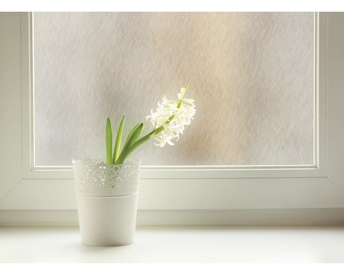 Dekorfolie auf einem Fenster mit Hyazinthe im Topf