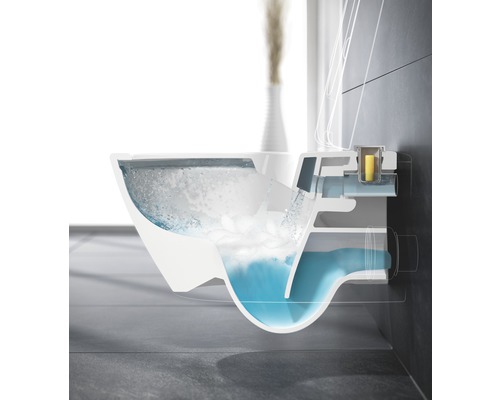 Querschnitt einer Toilette, der die Funktionsweise der Spülung zeigt.