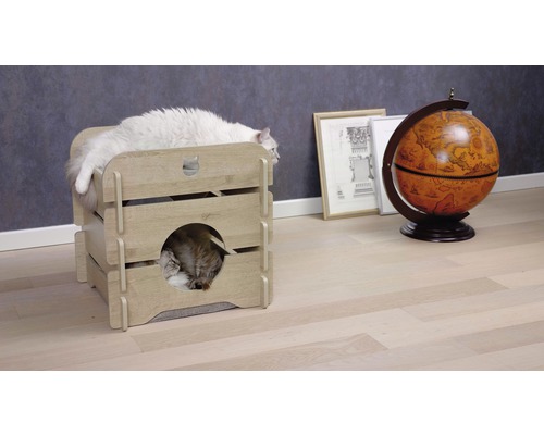 Katzenhaus mit zwei Katzen, eine liegt auf dem Dach, die andere in der Höhle