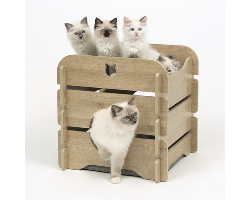 Katzenhaus aus Holz mit mehreren Ragdoll-Katzen