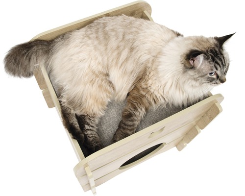 Katze liegt in einem Katzenhaus aus Holz mit Eingang