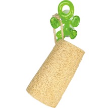 Luffa-Badeschwamm mit Saugnapfhalterung