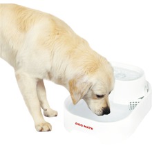 Ein Hund trinkt aus einem Trinkbrunnen der Marke Dog Mate.