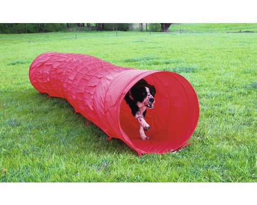 Agility-Tunnel für Hunde auf einer Wiese mit einem Hund, der hindurchläuft