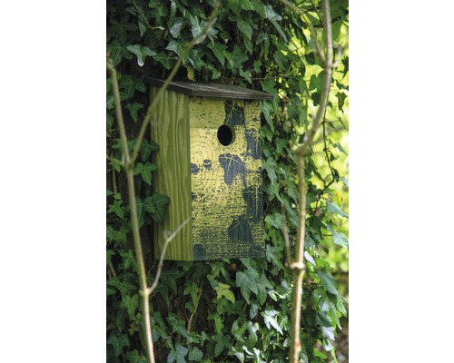 Vogelhaus an einem Baum mit Efeu