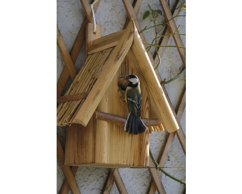 Holzvogelhaus mit Futterstelle und einer Kohlmeise
