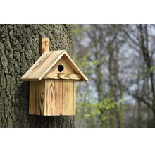 Vogelhaus aus Holz an einem Baumstamm befestigt