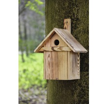 Holz-Nistkasten mit rundem Eingangsloch an einem Baum befestigt