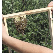 Bienenkiste, Einraumbeute für Honig-Bienen zum Imkern 87 x 43,5 x 56,5 cm-thumb-15