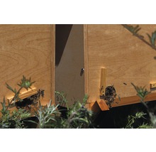 Bienenkiste, Einraumbeute für Honig-Bienen zum Imkern 87 x 43,5 x 56,5 cm-thumb-16