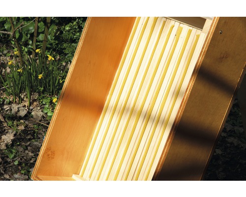 Bienenbeute mit Wachsrahmen für die Honigproduktion