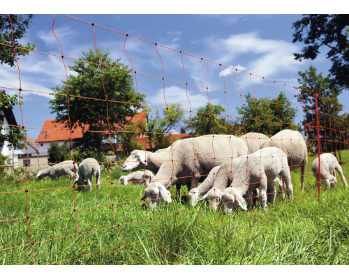 Weidezaunnetz mit Schafen auf einer Weide