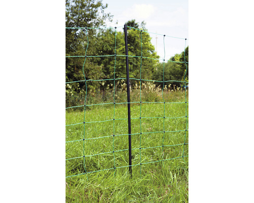 Detailaufnahme eines Weidezauns mit Pfosten auf einer Wiese.