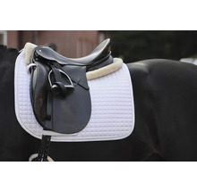 Pferdesattel mit Sattelunterlage auf einem Pferd