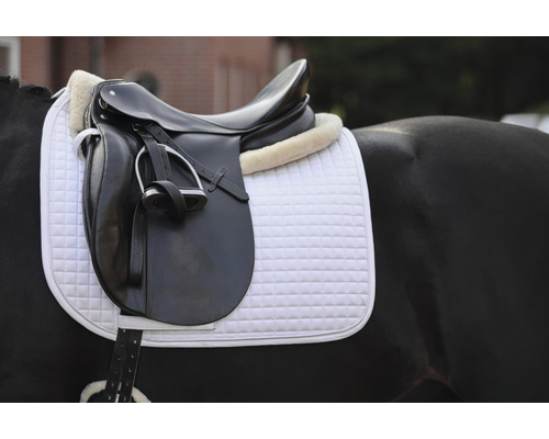 Pferdesattel mit Sattelunterlage auf einem Pferd