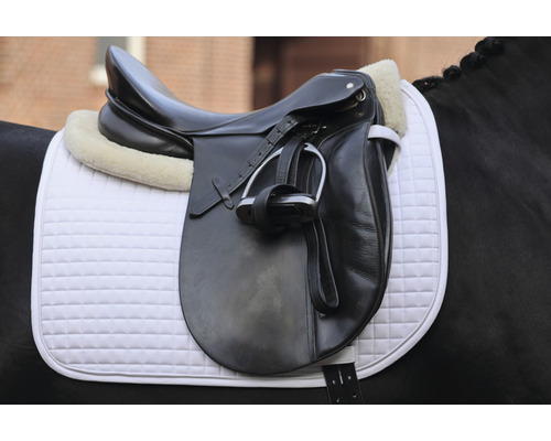 Schwarzer Dressursattel mit Steigbügel und weißer Satteldecke auf einem Pferd