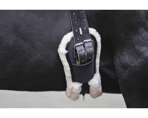 Pferd mit Sattelgurt und Lammfellpolsterung für den Reitsport