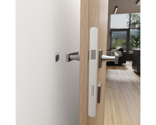 Tür mit Türdrücker und Schließblech in einem Wohnraum.