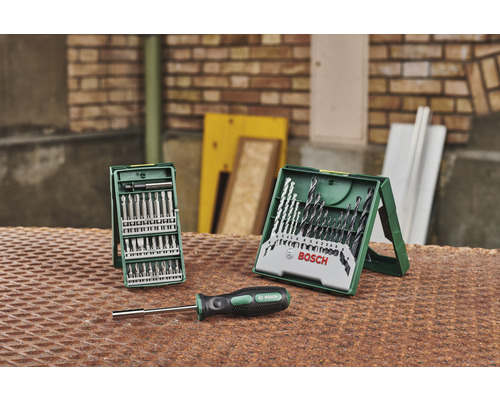 Bosch Schrauberbit-Set, Bohrerset und Schraubendreher