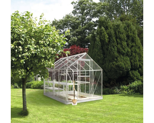 Gewächshaus im Garten mit Bäumen