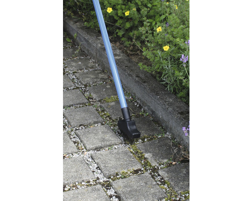 Fugenbürste mit blauem Stiel reinigt Pflastersteine von Unkraut