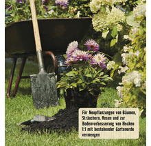 Szene mit Schubkarre, Spaten und neu gepflanzter Blume für Gartenarbeiten