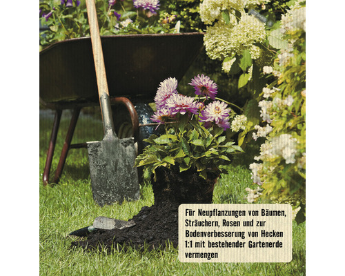 Szene mit Schubkarre, Spaten und neu gepflanzter Blume für Gartenarbeiten