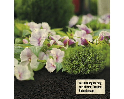 Grabgestaltung mit Blumen, Stauden und Bodendeckern