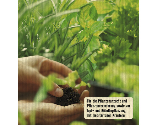 Hände halten Erde vor Kräutern für die Anzucht und Vermehrung von Topf- und Kübelpflanzen