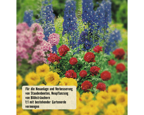 Abbildung eines Blumenbeets mit verschiedenen blühenden Pflanzen