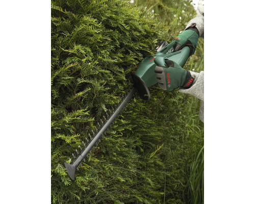 Heckenschere im Einsatz an einer Hecke