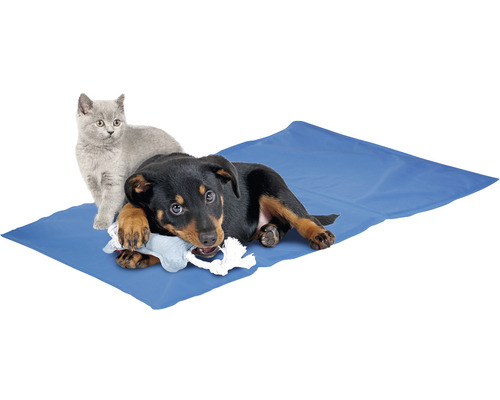 Hund und Katze auf Kühlmatte für Haustiere mit Spielzeug