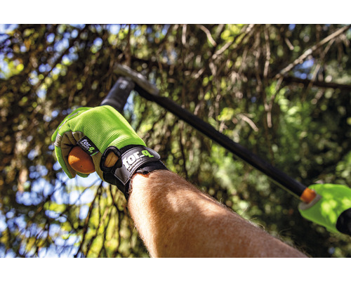 Person mit Gartenhandschuhen hält eine Frucht im Garten