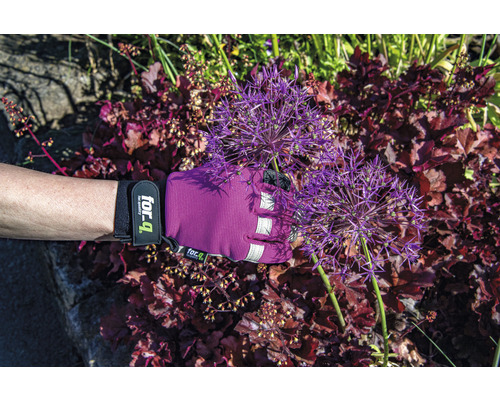 Eine Person trägt Gartenhandschuhe der Marke For-Q und berührt Zierlauch.