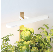 Lilo Connect Zimmergarten mit LED-Beleuchtung und Kräutern