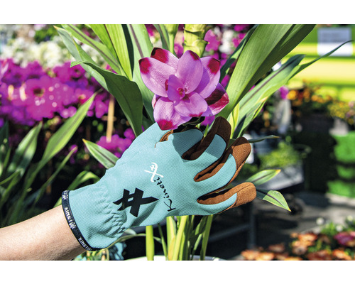 Hand mit KinetiXx Gartenhandschuh, die eine rosa Blume hält